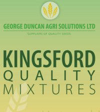 Post image for Kingsford Quality Mixtures